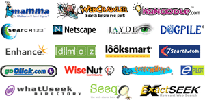 Major Search Engines